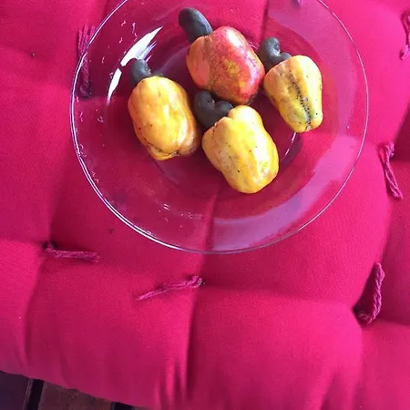 Recanto Do Meu Bem Jijoca de Jericoacoara Exterior foto